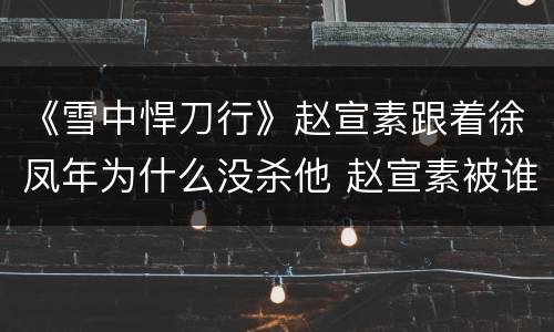 《雪中悍刀行》赵宣素跟着徐凤年为什么没杀他 赵宣素被谁打伤了