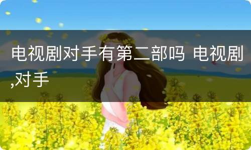电视剧对手有第二部吗 电视剧,对手