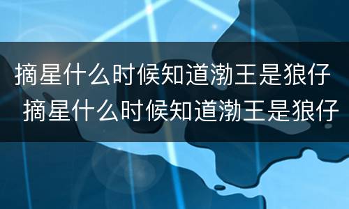摘星什么时候知道渤王是狼仔 摘星什么时候知道渤王是狼仔的儿子