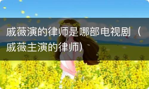 戚薇演的律师是哪部电视剧（戚薇主演的律师）