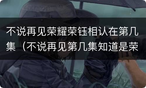 不说再见荣耀荣钰相认在第几集（不说再见第几集知道是荣钰）