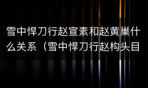 雪中悍刀行赵宣素和赵黄巢什么关系（雪中悍刀行赵构头目）
