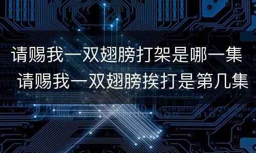 请赐我一双翅膀打架是哪一集 请赐我一双翅膀挨打是第几集