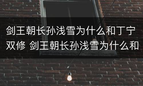 剑王朝长孙浅雪为什么和丁宁双修 剑王朝长孙浅雪为什么和丁宁双修了