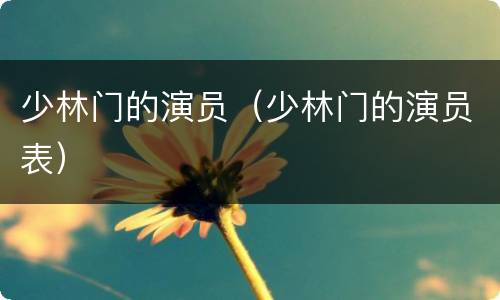 少林门的演员（少林门的演员表）