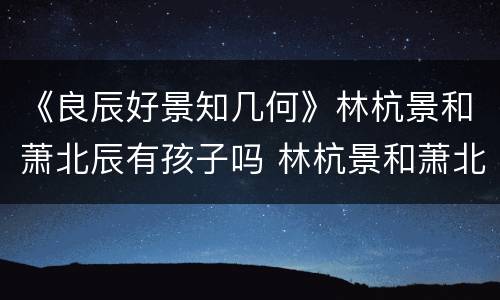 《良辰好景知几何》林杭景和萧北辰有孩子吗 林杭景和萧北辰结局如何