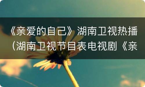 《亲爱的自己》湖南卫视热播（湖南卫视节目表电视剧《亲爱的自己》）