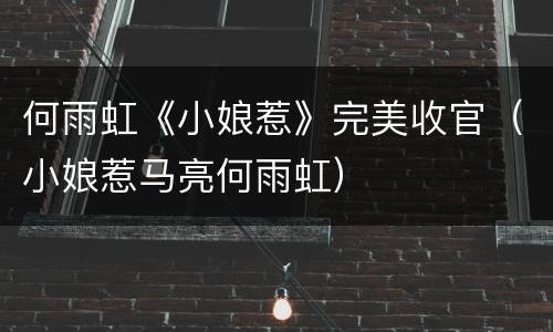 何雨虹《小娘惹》完美收官（小娘惹马亮何雨虹）