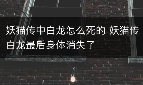 妖猫传中白龙怎么死的 妖猫传白龙最后身体消失了