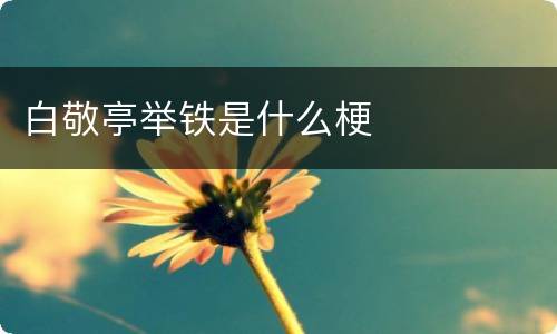 白敬亭举铁是什么梗