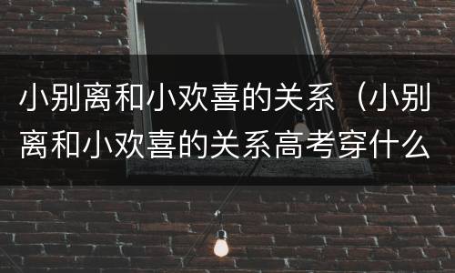 小别离和小欢喜的关系（小别离和小欢喜的关系高考穿什么衣服）