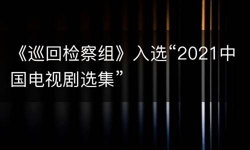 《巡回检察组》入选“2021中国电视剧选集”