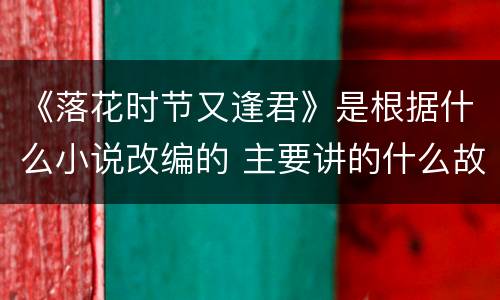 《落花时节又逢君》是根据什么小说改编的 主要讲的什么故事