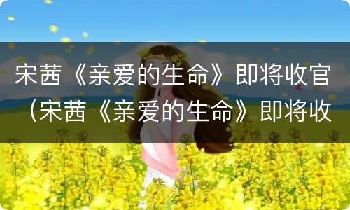 宋茜《亲爱的生命》即将收官（宋茜《亲爱的生命》即将收官在线观看）