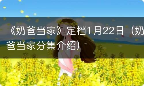 《奶爸当家》定档1月22日（奶爸当家分集介绍）