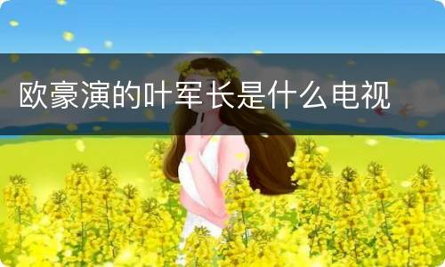 欧豪演的叶军长是什么电视