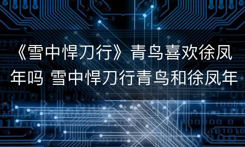 《雪中悍刀行》青鸟喜欢徐凤年吗 雪中悍刀行青鸟和徐凤年在一起了么