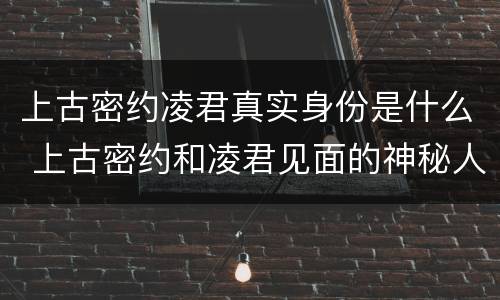上古密约凌君真实身份是什么 上古密约和凌君见面的神秘人是谁