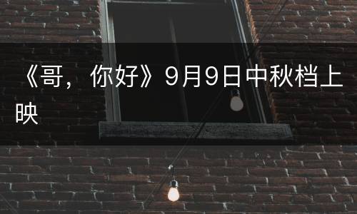 《哥，你好》9月9日中秋档上映