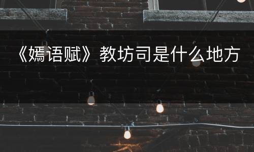 《嫣语赋》教坊司是什么地方