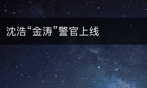 沈浩“金涛”警官上线
