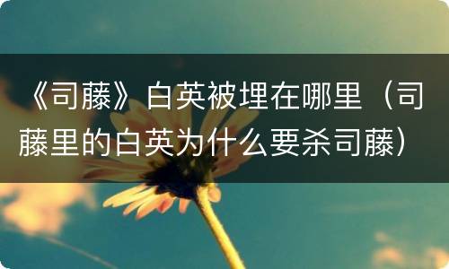 《司藤》白英被埋在哪里（司藤里的白英为什么要杀司藤）
