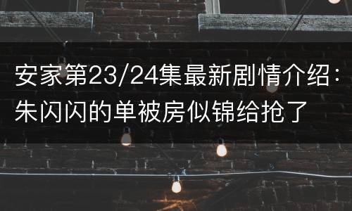 安家第23/24集最新剧情介绍：朱闪闪的单被房似锦给抢了