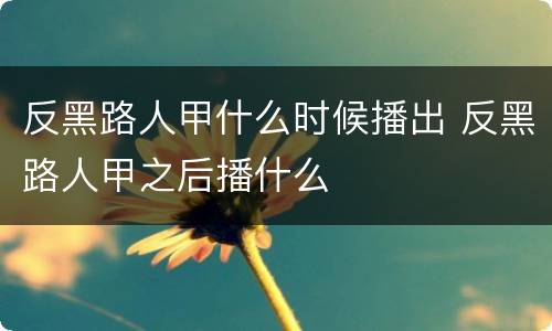 反黑路人甲什么时候播出 反黑路人甲之后播什么