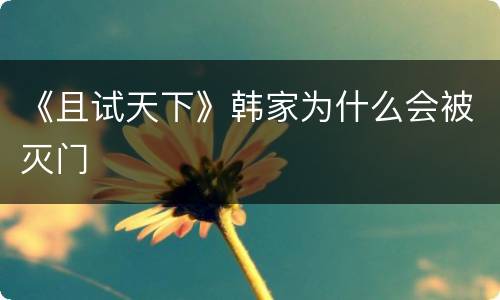 《且试天下》韩家为什么会被灭门