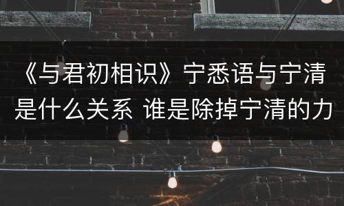 《与君初相识》宁悉语与宁清是什么关系 谁是除掉宁清的力量