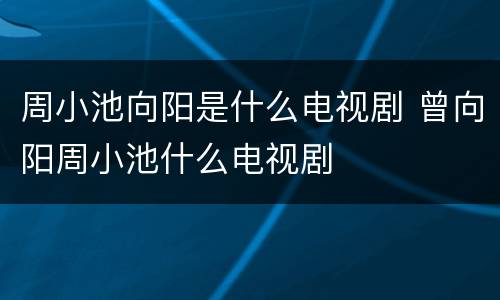 周小池向阳是什么电视剧 曾向阳周小池什么电视剧