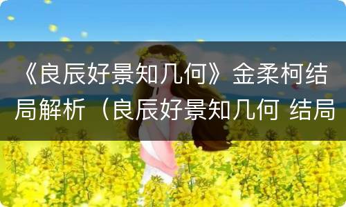 《良辰好景知几何》金柔柯结局解析（良辰好景知几何 结局）
