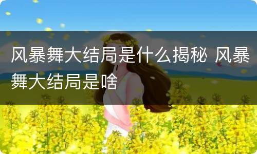 风暴舞大结局是什么揭秘 风暴舞大结局是啥