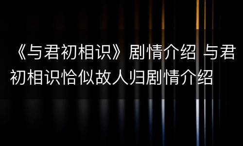《与君初相识》剧情介绍 与君初相识恰似故人归剧情介绍
