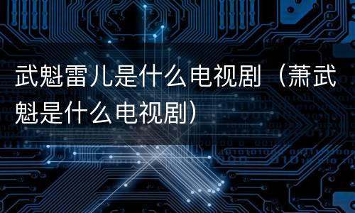 武魁雷儿是什么电视剧（萧武魁是什么电视剧）