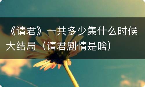 《请君》一共多少集什么时候大结局（请君剧情是啥）
