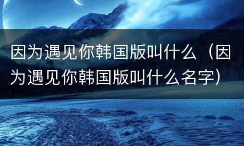 因为遇见你韩国版叫什么（因为遇见你韩国版叫什么名字）