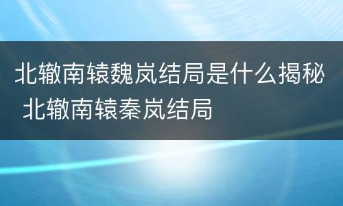 北辙南辕魏岚结局是什么揭秘 北辙南辕秦岚结局