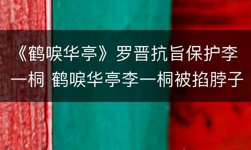 《鹤唳华亭》罗晋抗旨保护李一桐 鹤唳华亭李一桐被掐脖子