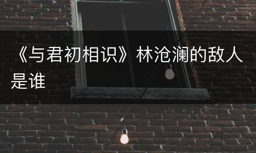《与君初相识》林沧澜的敌人是谁