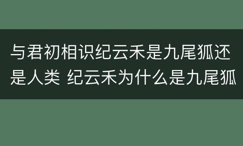 与君初相识纪云禾是九尾狐还是人类 纪云禾为什么是九尾狐