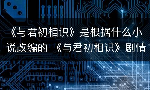 《与君初相识》是根据什么小说改编的 《与君初相识》剧情讲的是什么