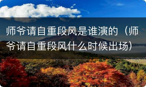 师爷请自重段风是谁演的（师爷请自重段风什么时候出场）