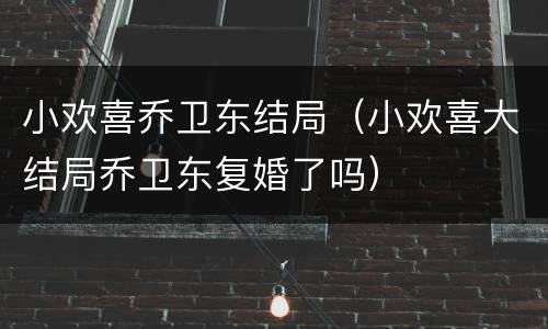 小欢喜乔卫东结局（小欢喜大结局乔卫东复婚了吗）