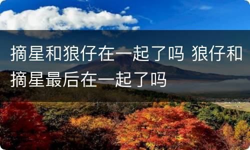 摘星和狼仔在一起了吗 狼仔和摘星最后在一起了吗