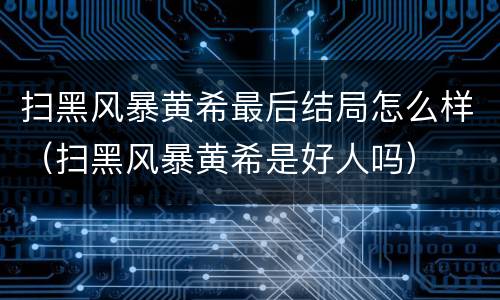 扫黑风暴黄希最后结局怎么样（扫黑风暴黄希是好人吗）