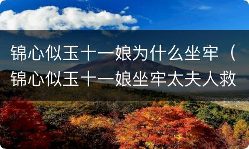 锦心似玉十一娘为什么坐牢（锦心似玉十一娘坐牢太夫人救儿媳）