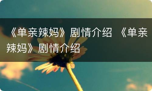 《单亲辣妈》剧情介绍 《单亲辣妈》剧情介绍