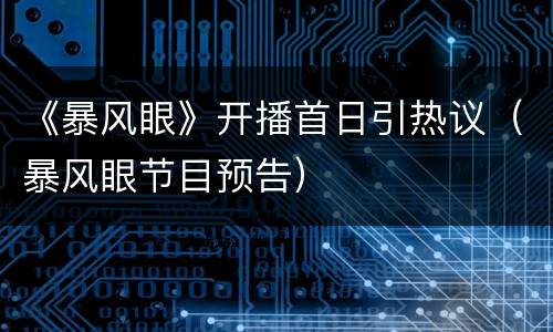 《暴风眼》开播首日引热议（暴风眼节目预告）