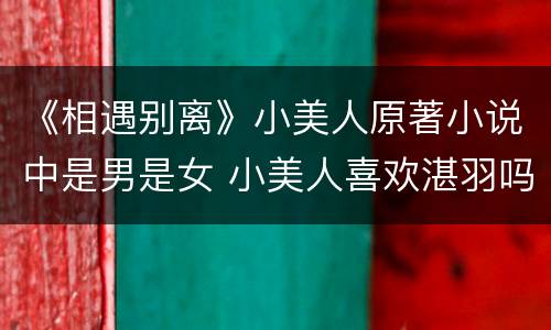 《相遇别离》小美人原著小说中是男是女 小美人喜欢湛羽吗